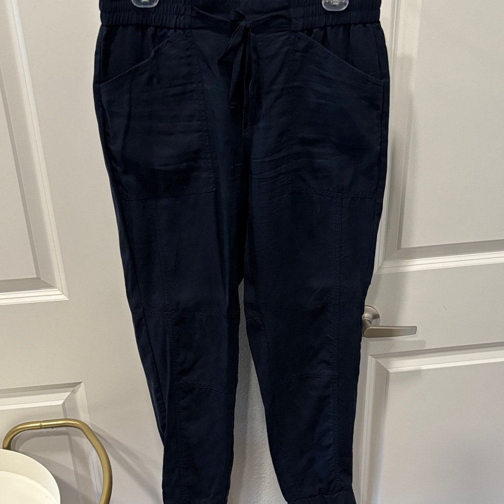 EUC Banana Republic Navy Track Pants